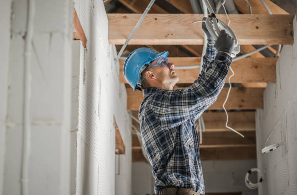 Best 24-Hour Electrician  in Escobares, TX
